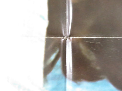 THE GIRL IN BLUE FOLDED US ONE SHEET POSTER DAVID SELBY MAUD ADAMS 1974 Rendezvous Cinema Movie posters