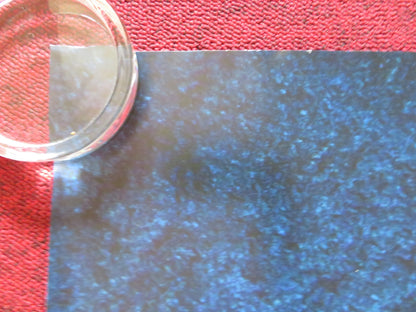 THE GOOD DINOSAUR UK QUAD ROLLED POSTER DISNEY FRANCES MCDORMAN 2015 Rendezvous Cinema Movie posters