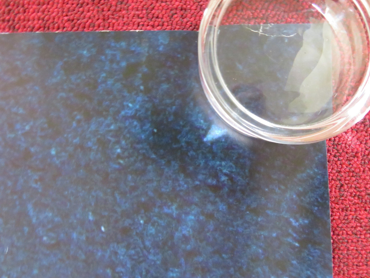 THE GOOD DINOSAUR UK QUAD ROLLED POSTER DISNEY FRANCES MCDORMAN 2015 Rendezvous Cinema Movie posters