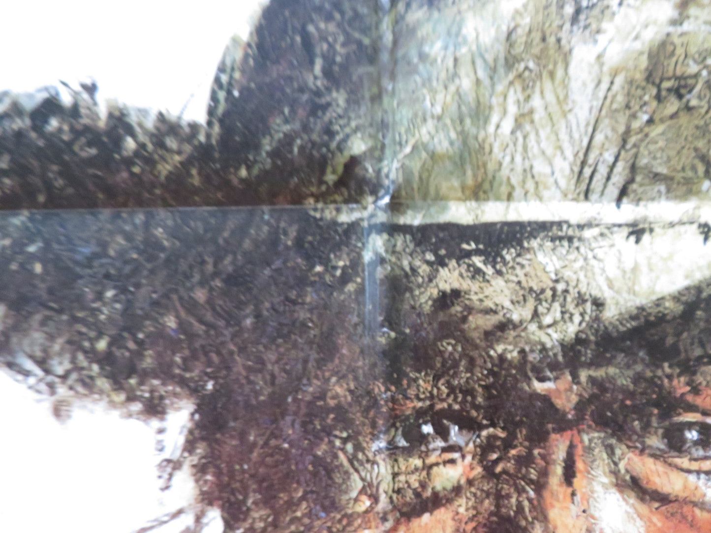 THE GREAT AMERICAN COWBOY - B FOLDED US ONE SHEET POSTER LARRY MAHAN 1974 Rendezvous Cinema Movie posters