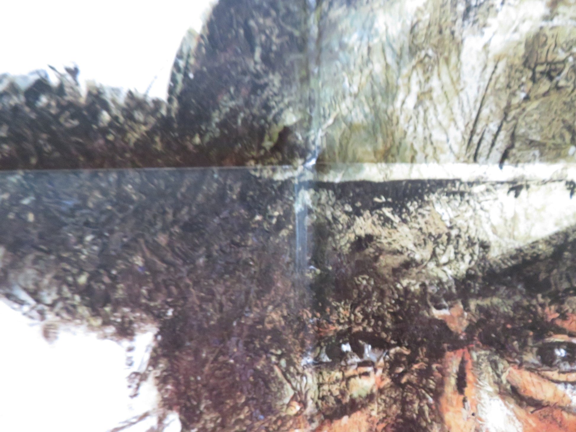 THE GREAT AMERICAN COWBOY - B FOLDED US ONE SHEET POSTER LARRY MAHAN 1974 Rendezvous Cinema Movie posters