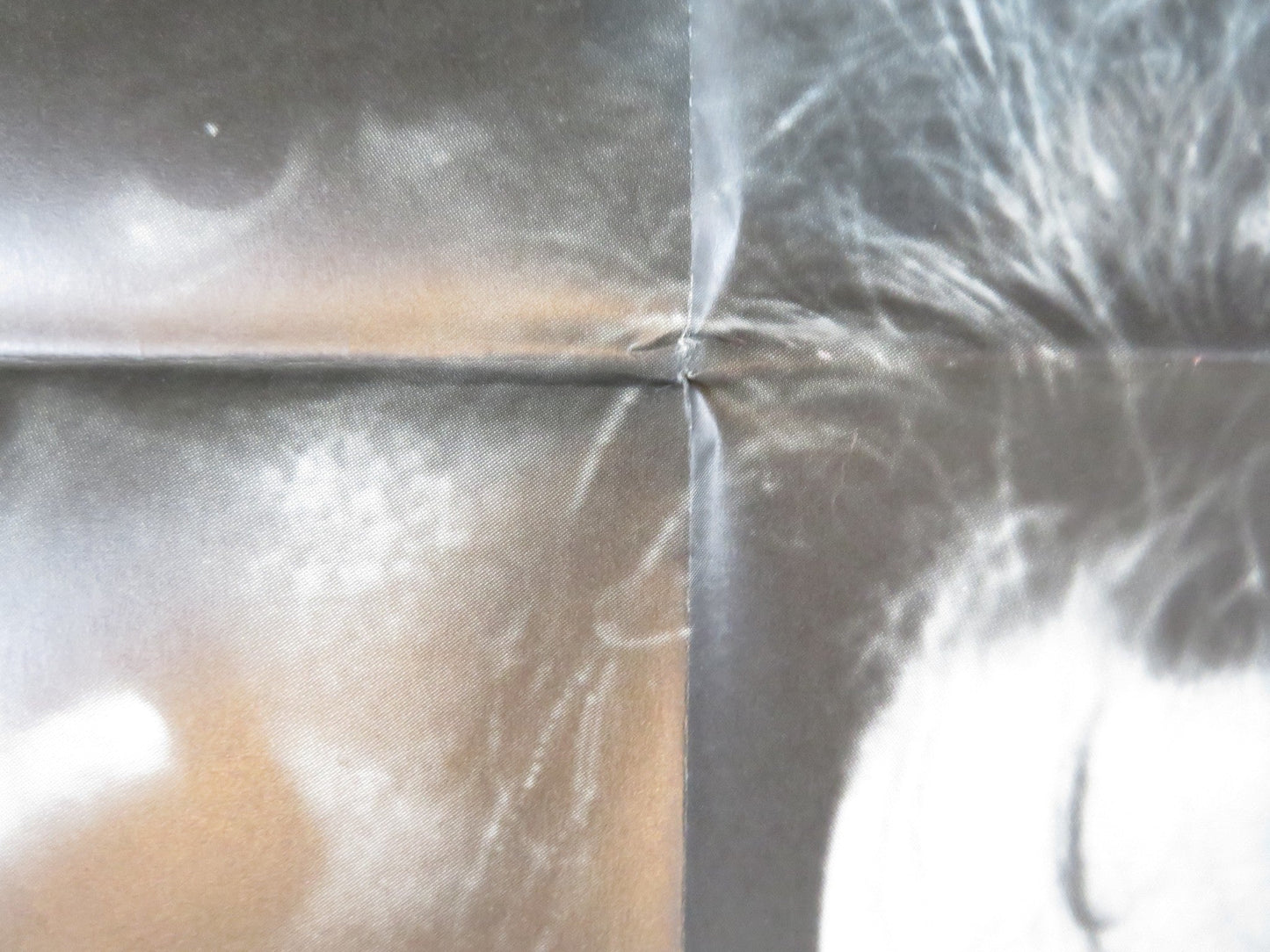 THE GREAT WHITE HOPE GERMAN A1 POSTER FOLDED JAMES EARL JONES 1970 Rendezvous Cinema Movie posters