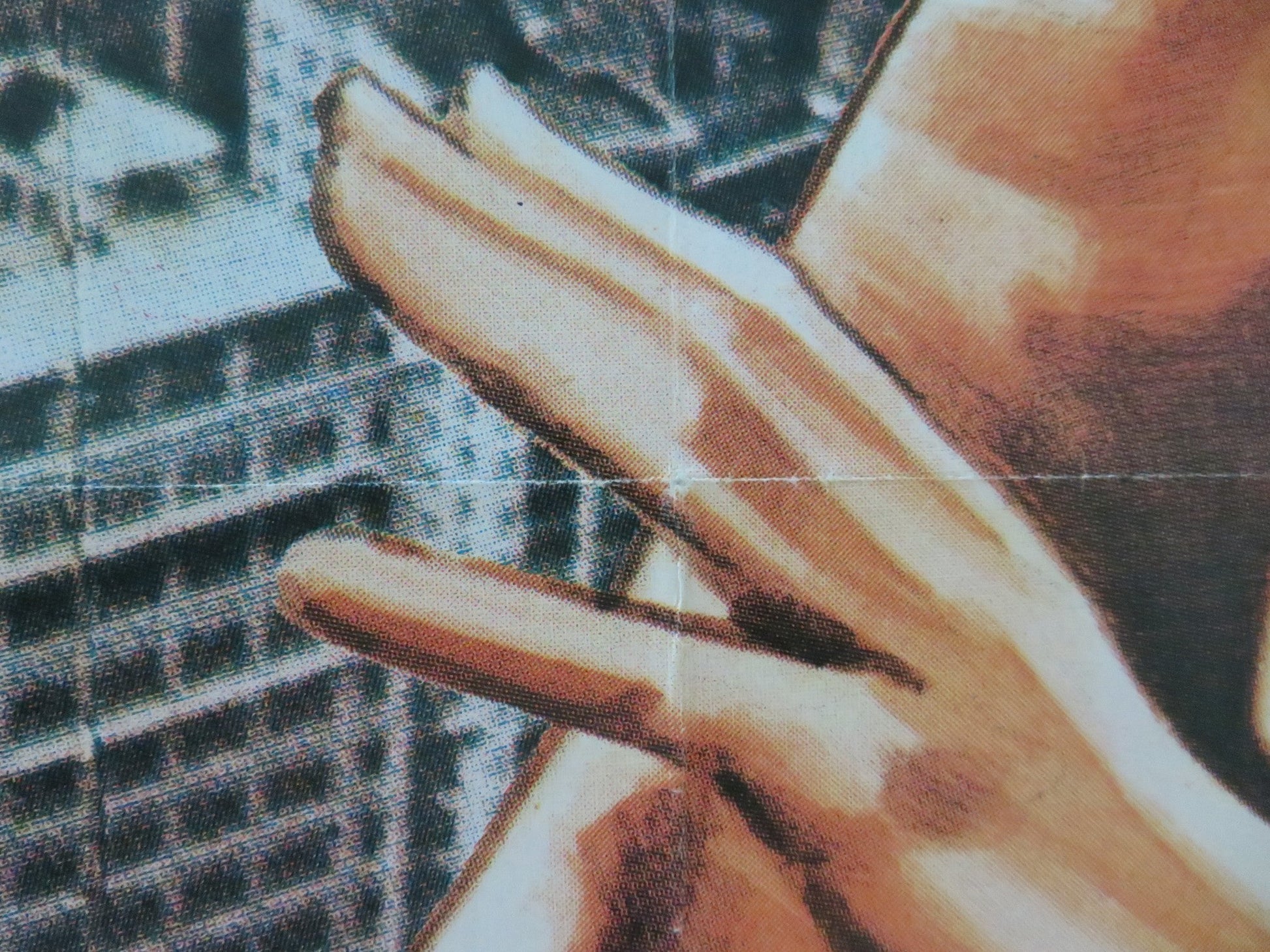 THE GREEN HORNET GERMAN A1 POSTER ROLLED BRUCE LEE VAN WILLIAMS 1975 Movie posters