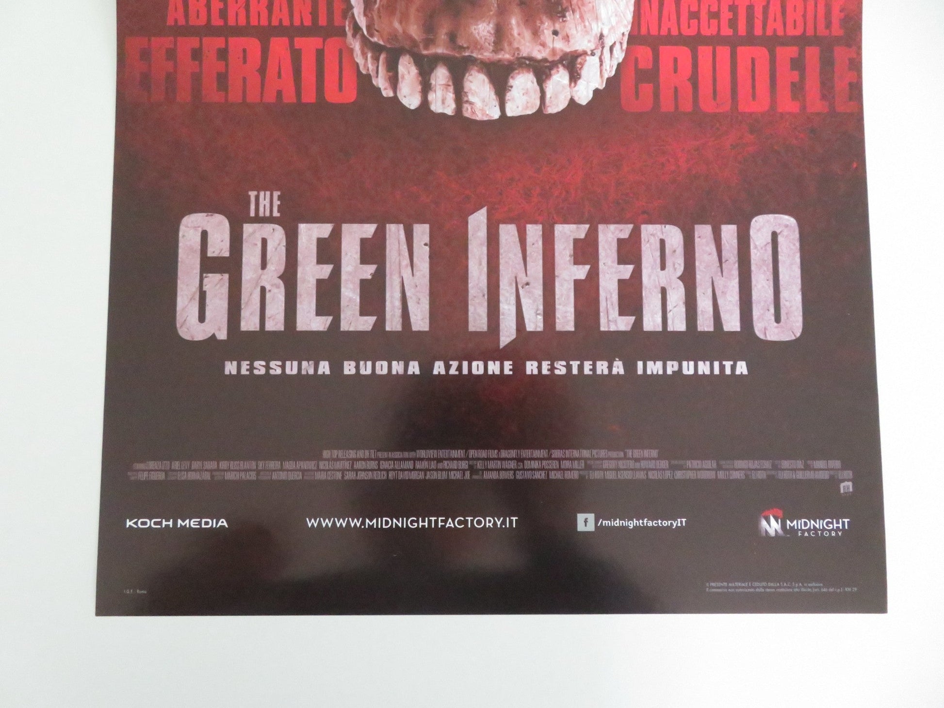 THE GREEN INFERNO ITALIAN LOCANDINA POSTER LORENZA IZZO ARIEL LEVY 2013 Movie posters