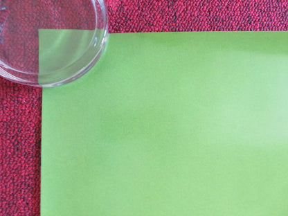 THE GRINCH - B US ONE SHEET ROLLED POSTER CUMBERBATCH CAMERON SEELY 2018 Rendezvous Cinema Movie posters