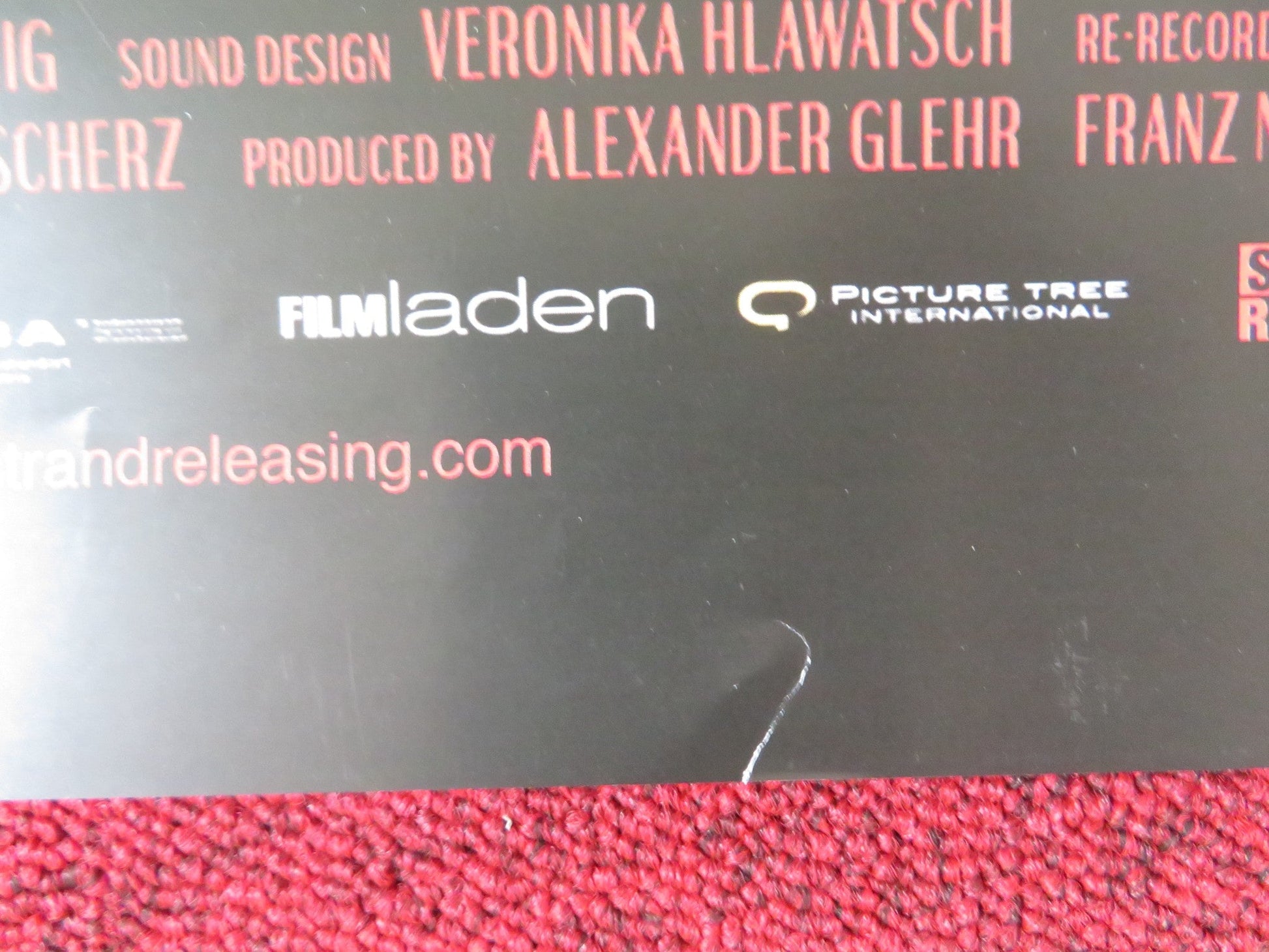 THE GROUND BENEATH MY FEET US ONE SHEET ROLLED POSTER VALERIE PACHNER 2019 Rendezvous Cinema Movie posters