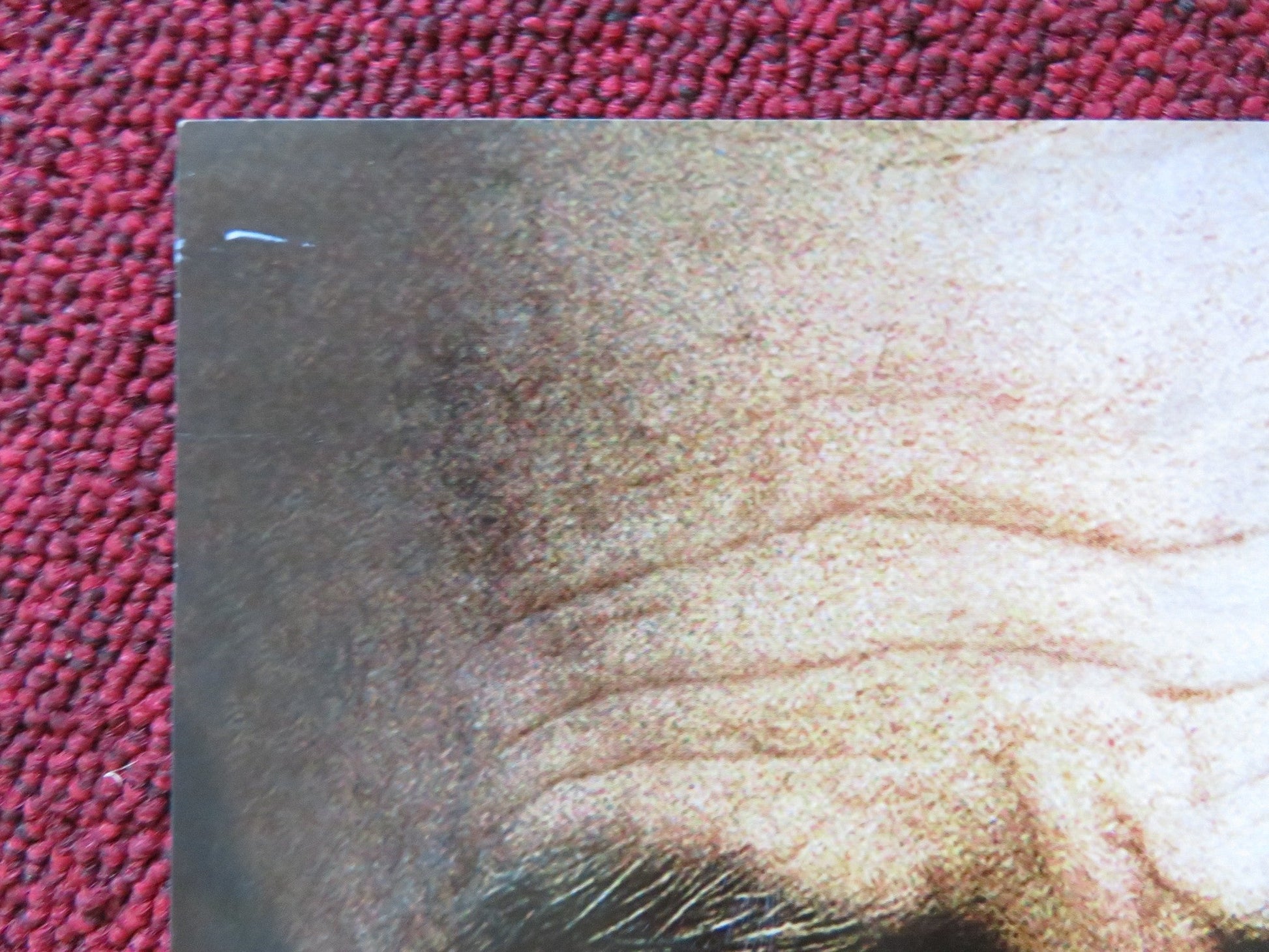 THE GUARDIAN DVD POSTER KEVIN COSTNER ASHTON KUTCHER 2006 Rendezvous Cinema Movie posters