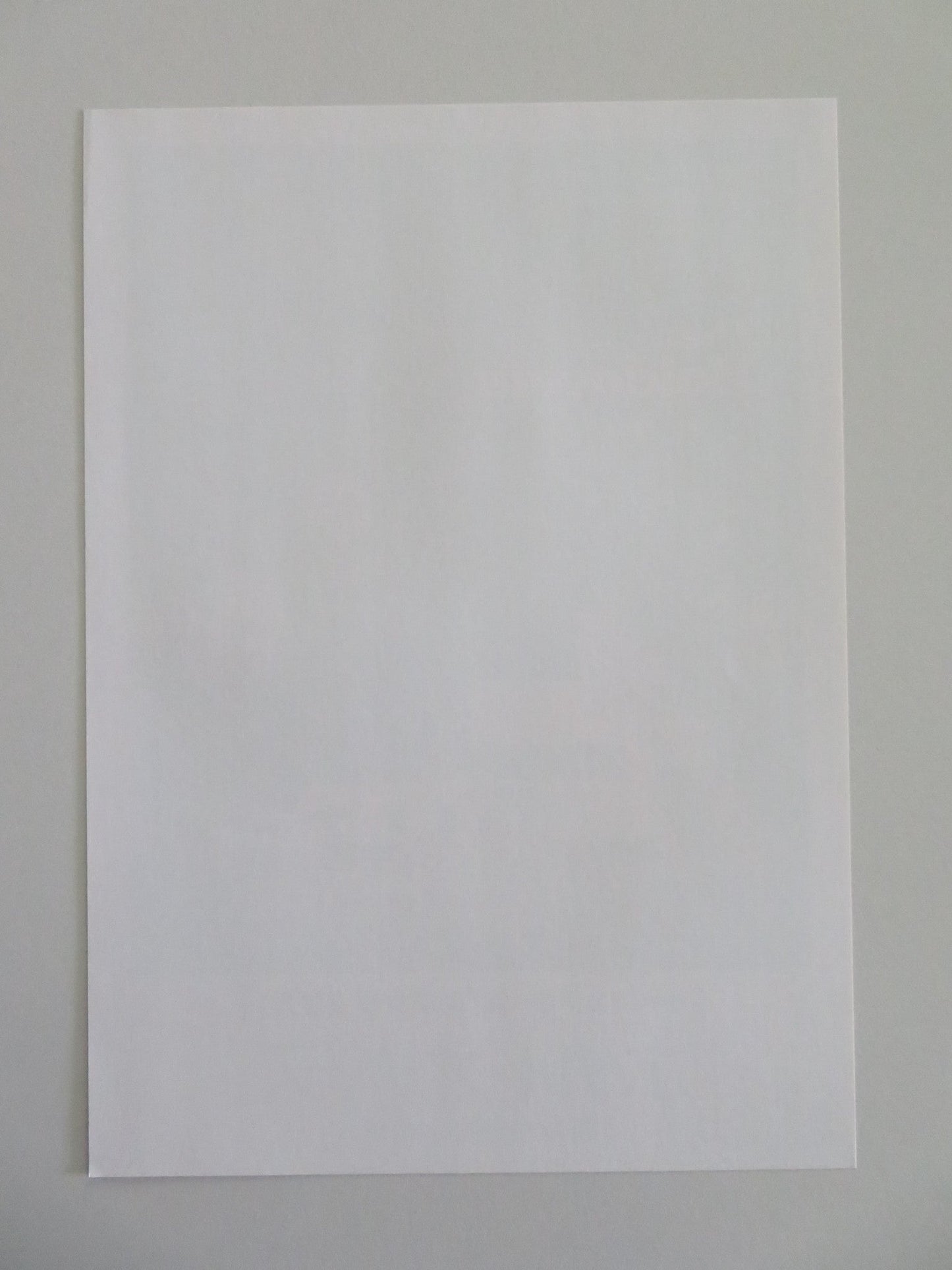 THE HOLDOVERS - B JAPANESE CHIRASHI (B5) POSTER PAUL GIAMATTI DOMINIC SESSA 2023 Movie posters