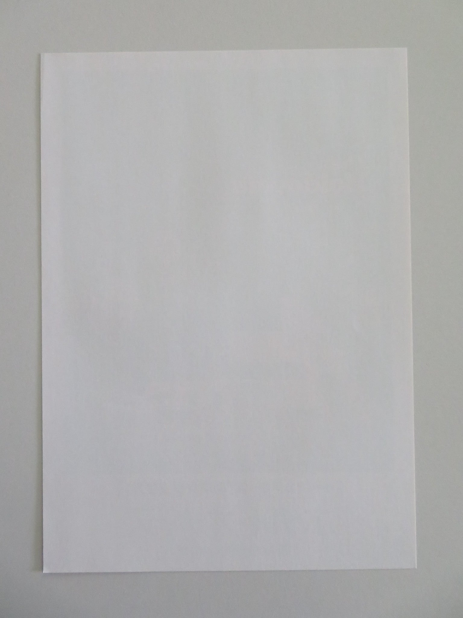 THE HOLDOVERS - B JAPANESE CHIRASHI (B5) POSTER PAUL GIAMATTI DOMINIC SESSA 2023 Movie posters