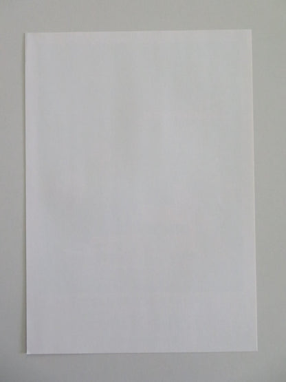 THE HOLDOVERS - B JAPANESE CHIRASHI (B5) POSTER PAUL GIAMATTI DOMINIC SESSA 2023 Movie posters