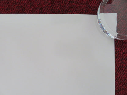 THE HOLDOVERS ONE SHEET ROLLED POSTER PAUL GIAMATTI DOMINIC SESSA 2023 Movie posters