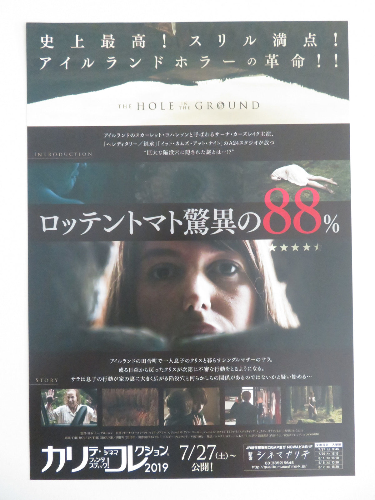 The Hole in the Ground Japanese Chirashi (B5) Poster Seána Kerslake 2019 Movie posters