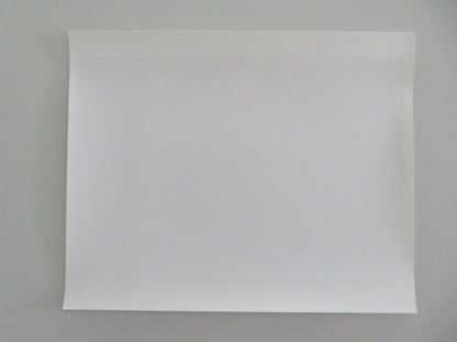 THE HOUSE ON CARROLL STREET - B MOVIE STILL PHOTO PETER YATES 1988 Movie posters