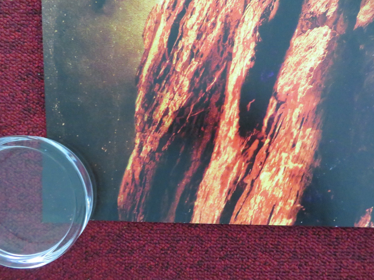 THE HUNGER GAMES CATCHING FIRE UK QUAD ROLLED POSTER JENNIFER LAWRENCE 2013 Movie posters