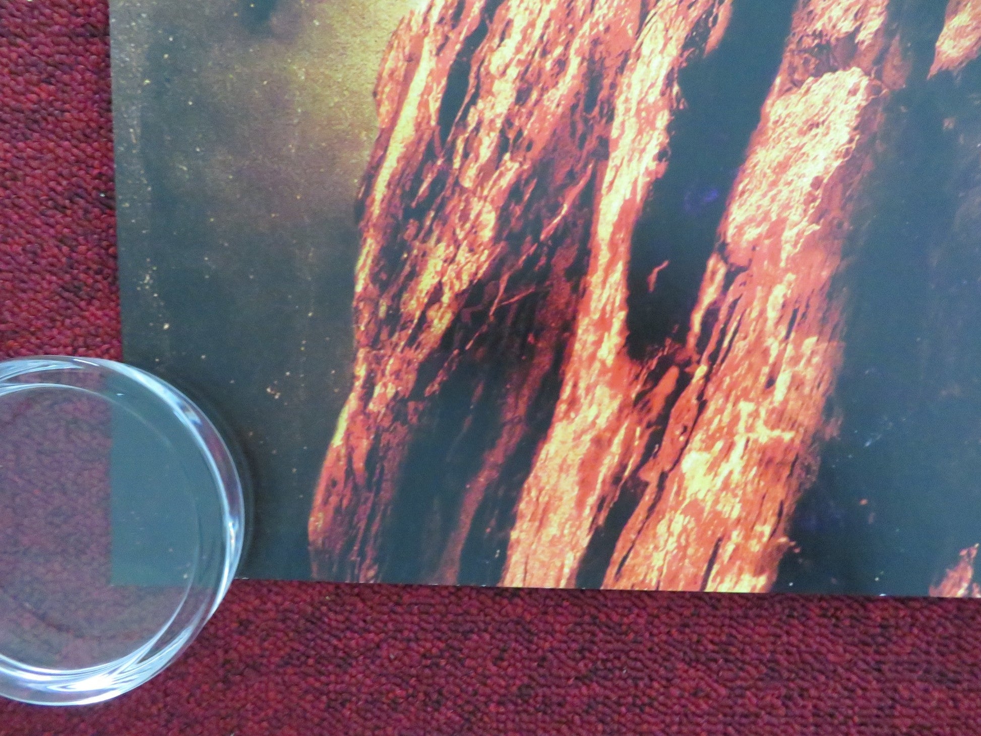 THE HUNGER GAMES CATCHING FIRE UK QUAD ROLLED POSTER JENNIFER LAWRENCE 2013 Movie posters