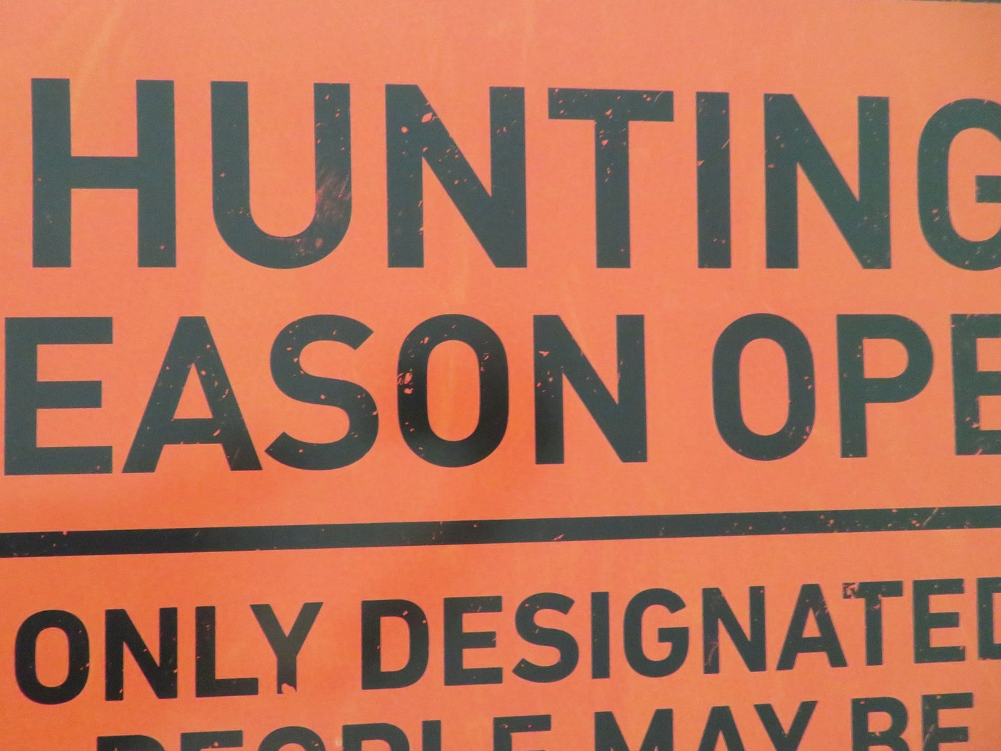 THE HUNT ONE SHEET ROLLED POSTER HILARY SWANK BETTY GILPIN 2020 Movie posters