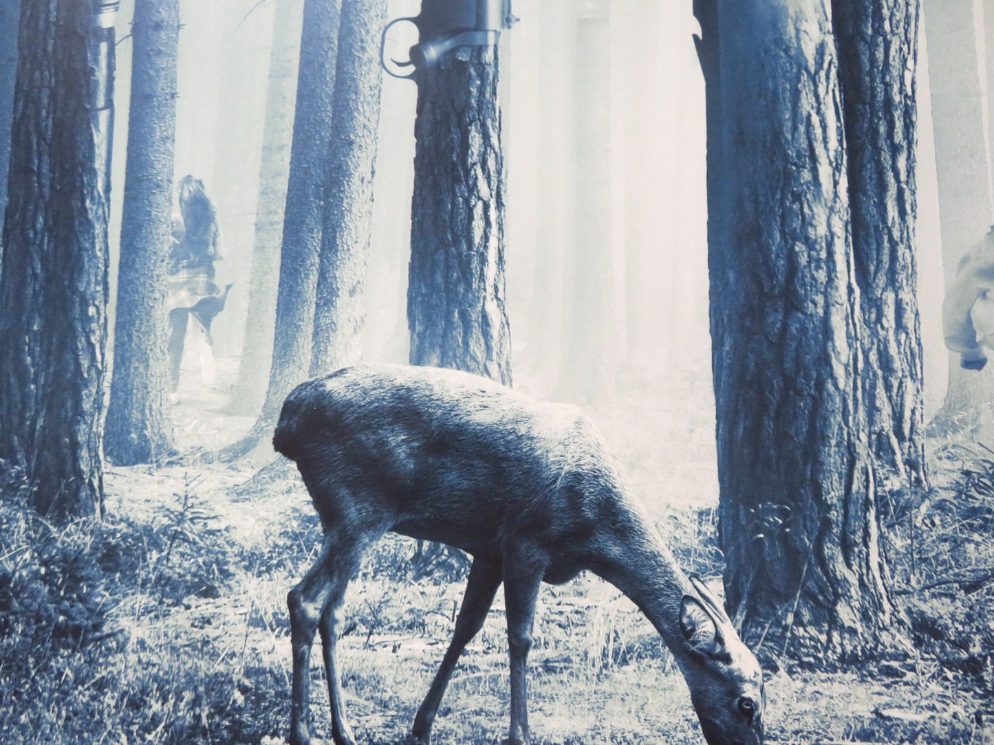 THE HUNT UK QUAD ROLLED POSTER HILARY SWANK BETTY GILPIN 2020 Rendezvous Cinema Movie posters