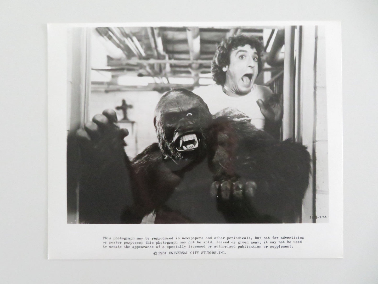 THE INCREDIBLE SHRINKING WOMAN MOVIE STILL PHOTO LOT OF 2 CHARLES GRODIN 1981 - Rendezvous Cinema