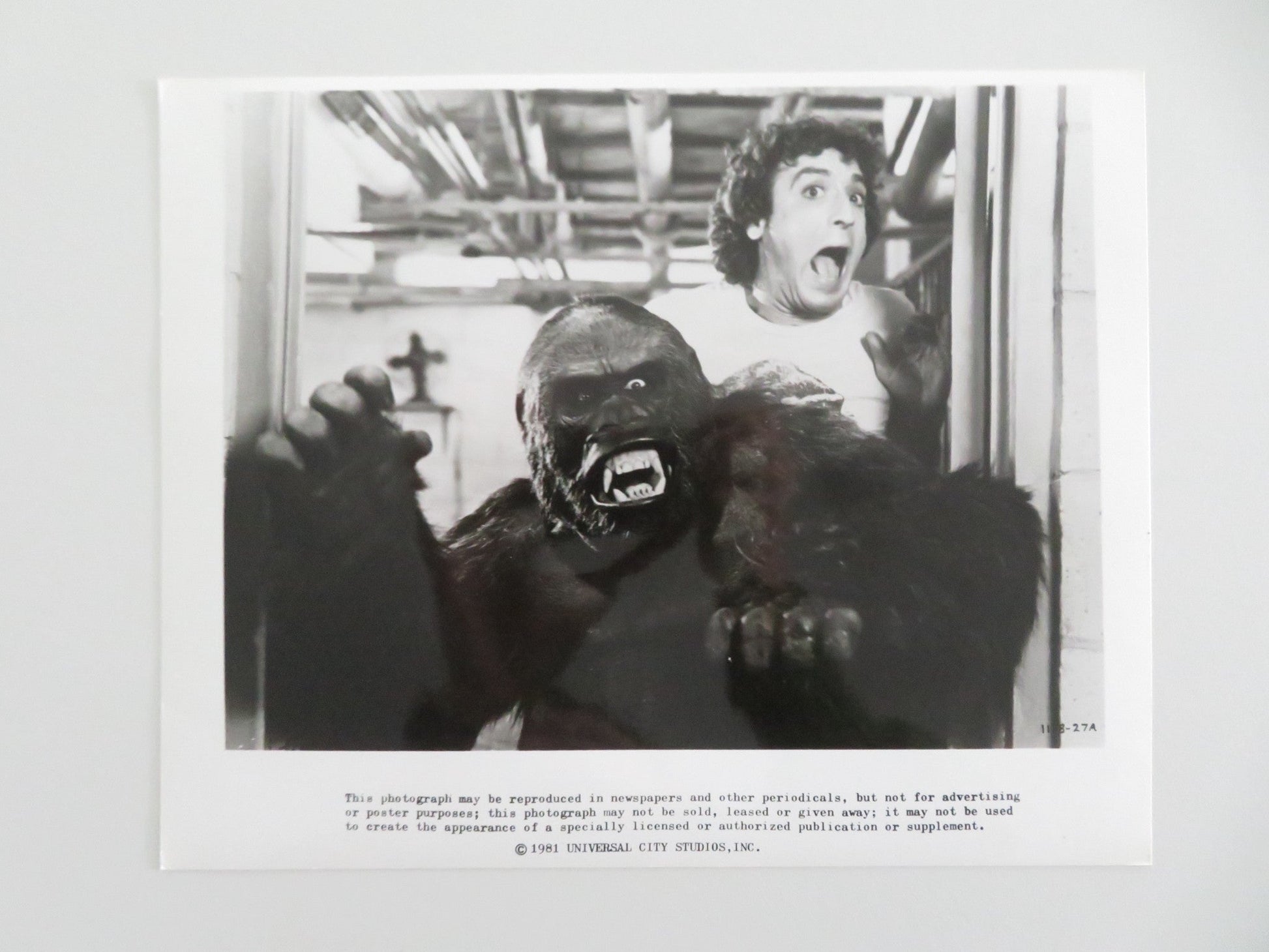 THE INCREDIBLE SHRINKING WOMAN MOVIE STILL PHOTO LOT OF 2 CHARLES GRODIN 1981 - Rendezvous Cinema