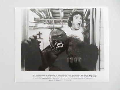 THE INCREDIBLE SHRINKING WOMAN MOVIE STILL PHOTO LOT OF 2 CHARLES GRODIN 1981 - Rendezvous Cinema