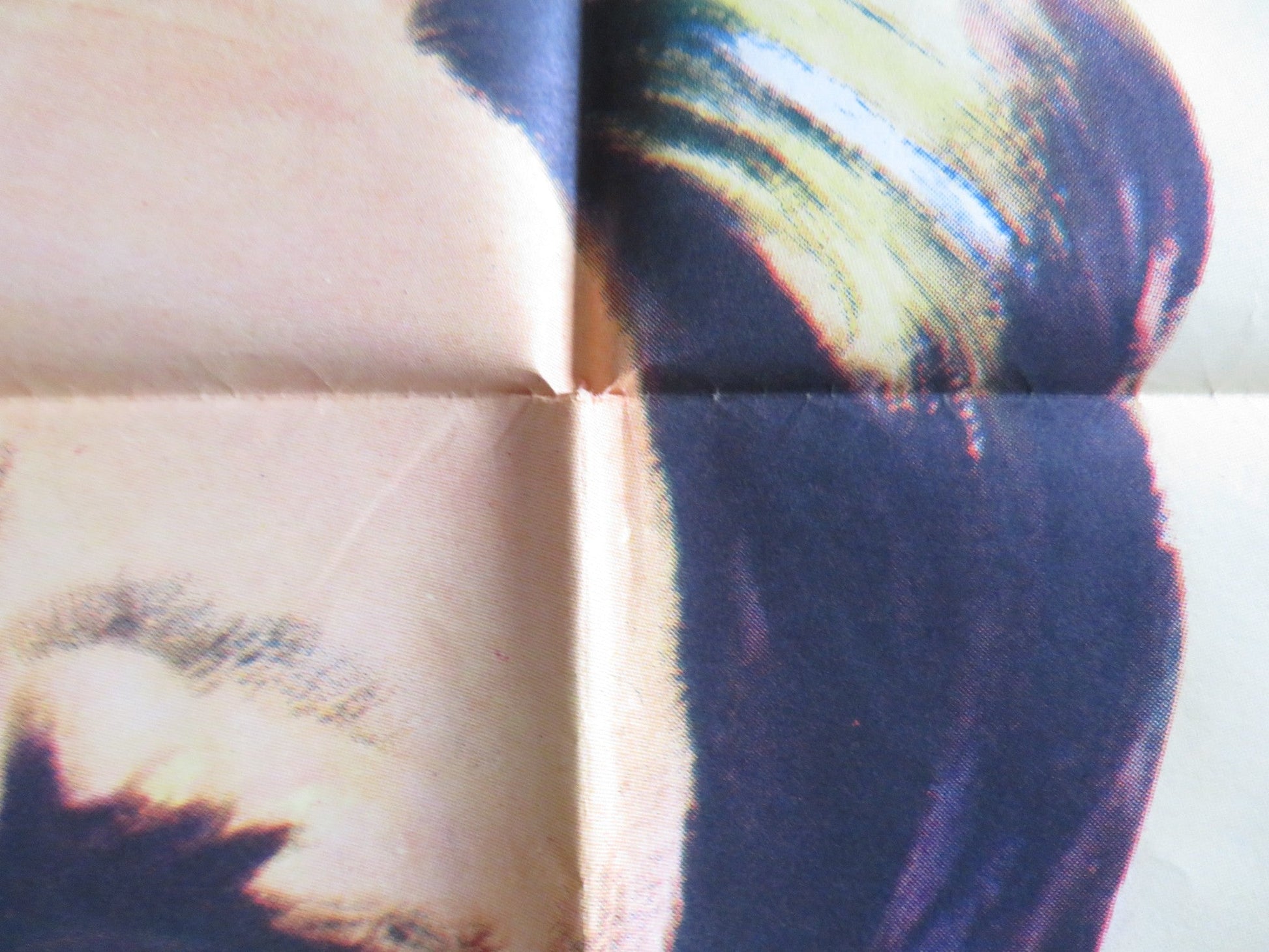 THE INDIAN FIGHTER FOLDED US ONE SHEET POSTER KIRK DOUGLAS WALTER MATTHAU 1955 Rendezvous Cinema Movie posters