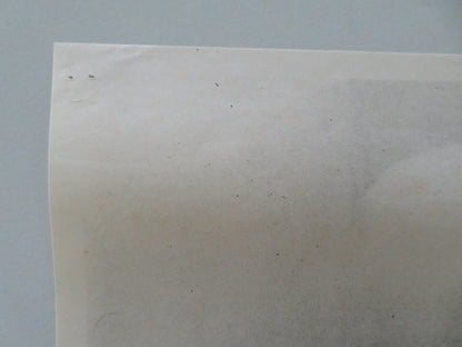 THE INFORMERS YUGOSLAVIAN POSTER ROLLED NIGEL PATRICK MARGARET WHITING 1963 Movie posters