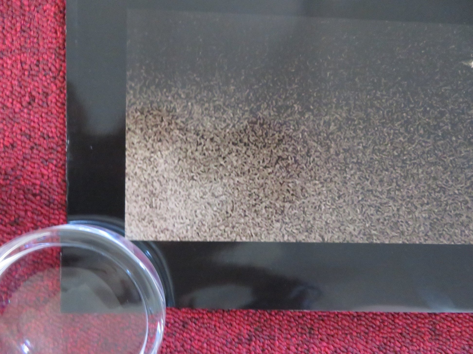 THE INTERNATIONAL US ONE SHEET ROLLED POSTER CLIVE OWEN NAOMI WATTS 2009 Rendezvous Cinema Movie posters