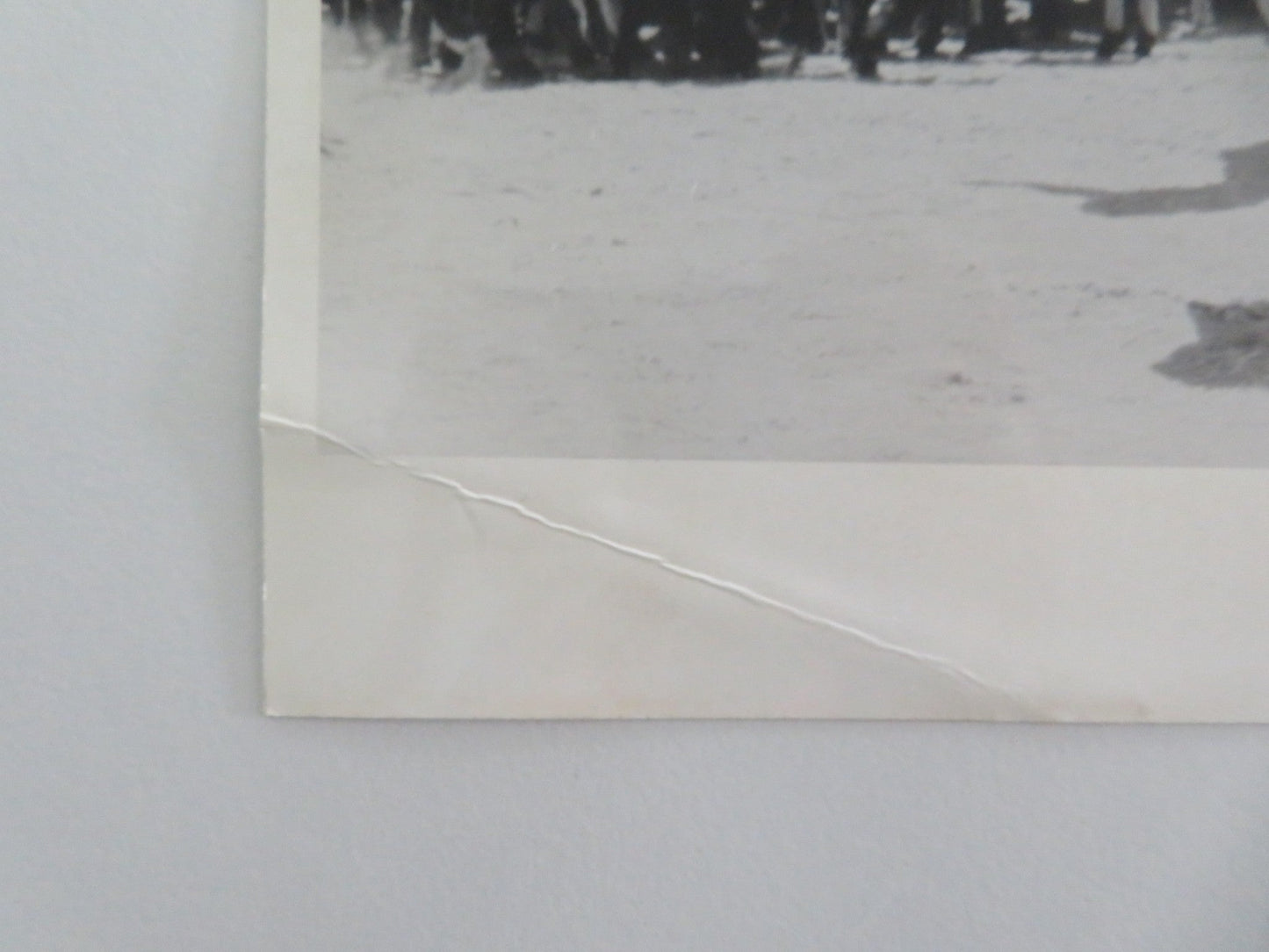 THE JEWEL OF THE NILE - B MOVIE STILL PHOTO DANNY DEVITO 1985 Movie posters