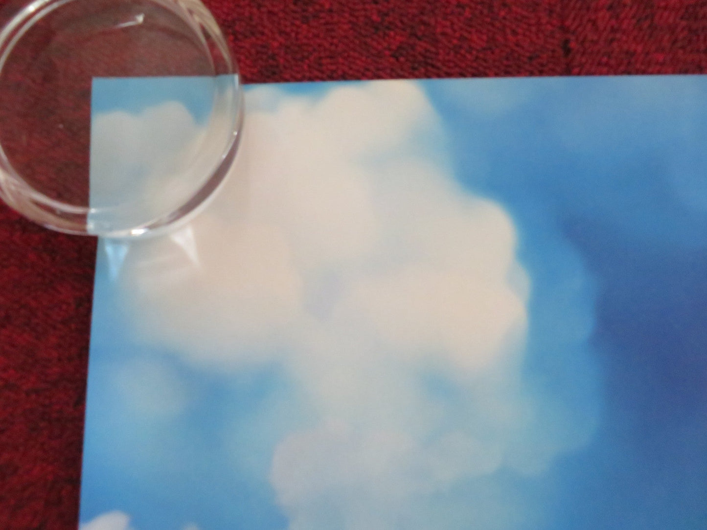 THE JUNGLE BUNCH WORLD TOUR UK QUAD ROLLED POSTER GAUTHIER BATTOUE 2023 Rendezvous Cinema Movie posters