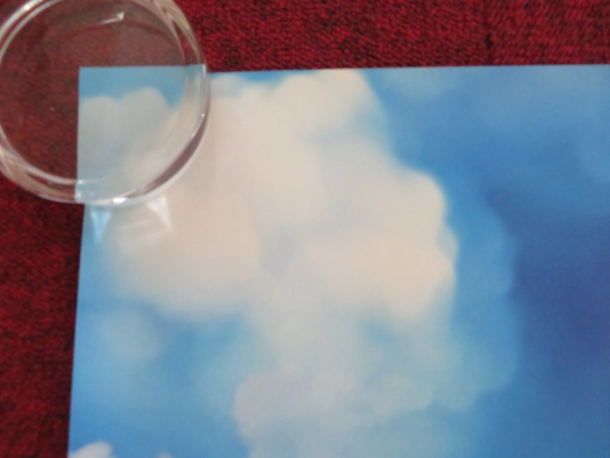 THE JUNGLE BUNCH WORLD TOUR UK QUAD ROLLED POSTER GAUTHIER BATTOUE 2023 Rendezvous Cinema Movie posters