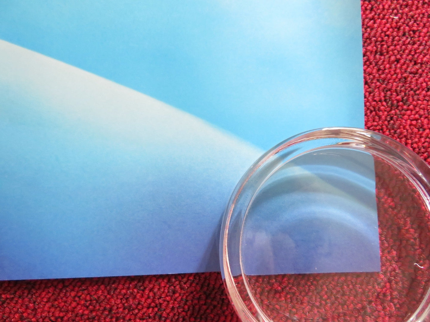 THE JUNGLE BUNCH WORLD TOUR UK QUAD ROLLED POSTER GAUTHIER BATTOUE 2023 Rendezvous Cinema Movie posters