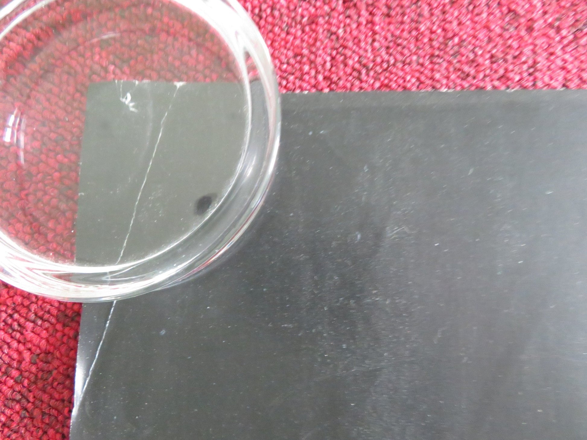 THE KILLER UK QUAD ROLLED POSTER MICHAEL FASSBENDER TILDA SWINTON 2023 Movie posters