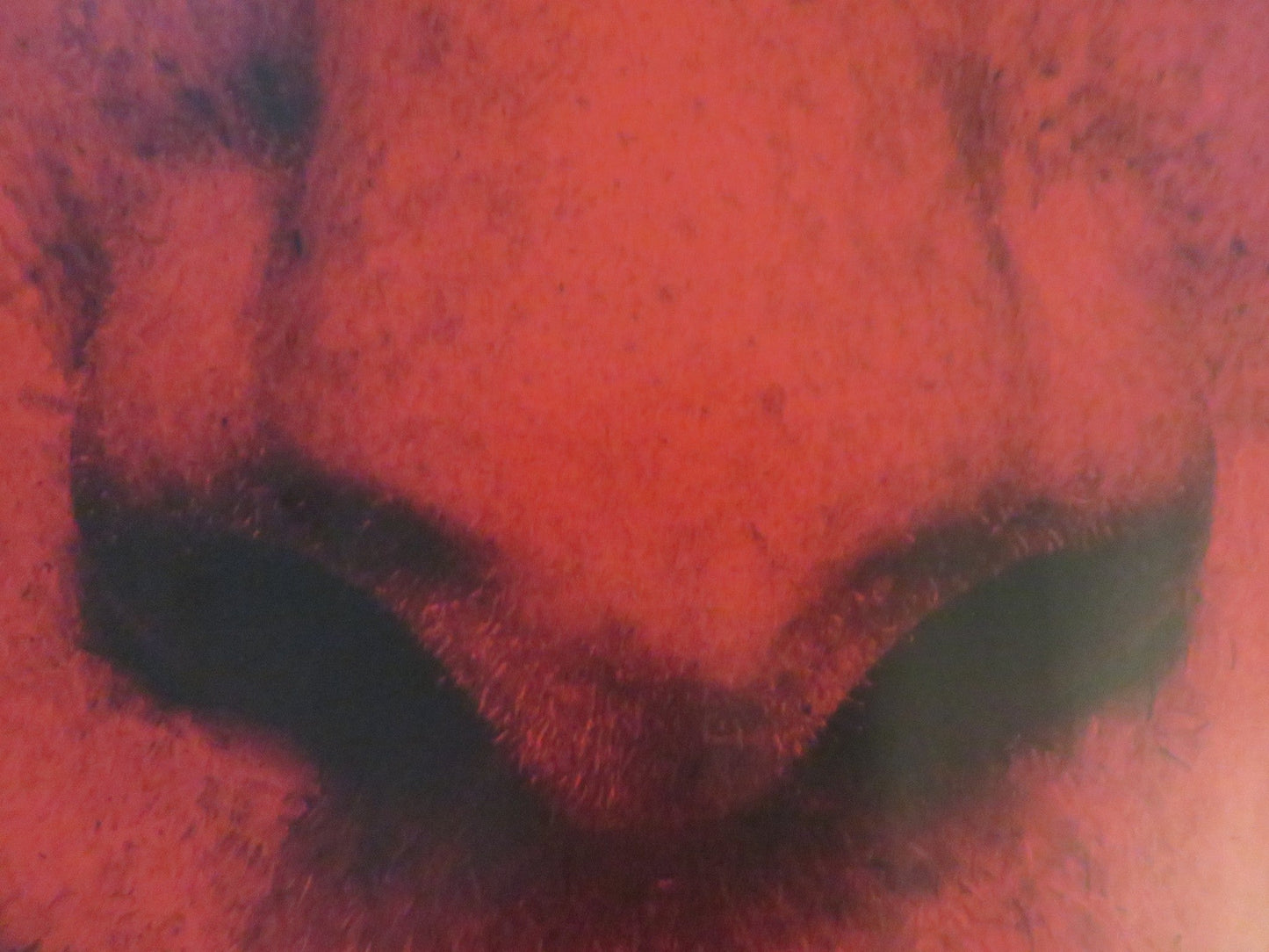 THE LAST DAYS ON MARS UK QUAD ROLLED POSTER LIEV SCHREIBER ELIAS KOTEAS 2013 Rendezvous Cinema Movie posters