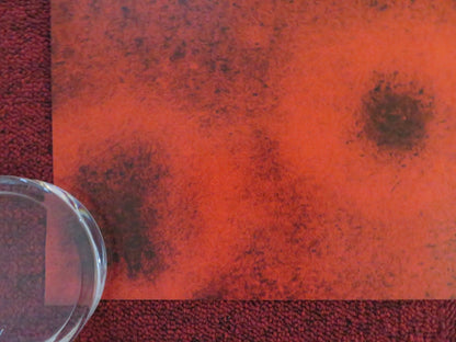 THE LAST DAYS ON MARS UK QUAD ROLLED POSTER LIEV SCHREIBER ELIAS KOTEAS 2013 Rendezvous Cinema Movie posters