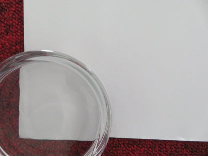 THE LAST DUEL UK QUAD ROLLED POSTER MATT DAMON ADAM DRIVER 2021 Movie posters