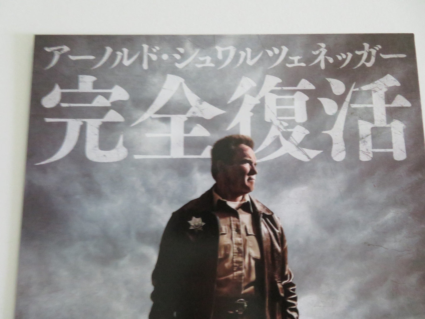 THE LAST STAND - B JAPANESE CHIRASHI (B5) POSTER ARNOLD SCHWARZENEGGER 2013 Movie posters