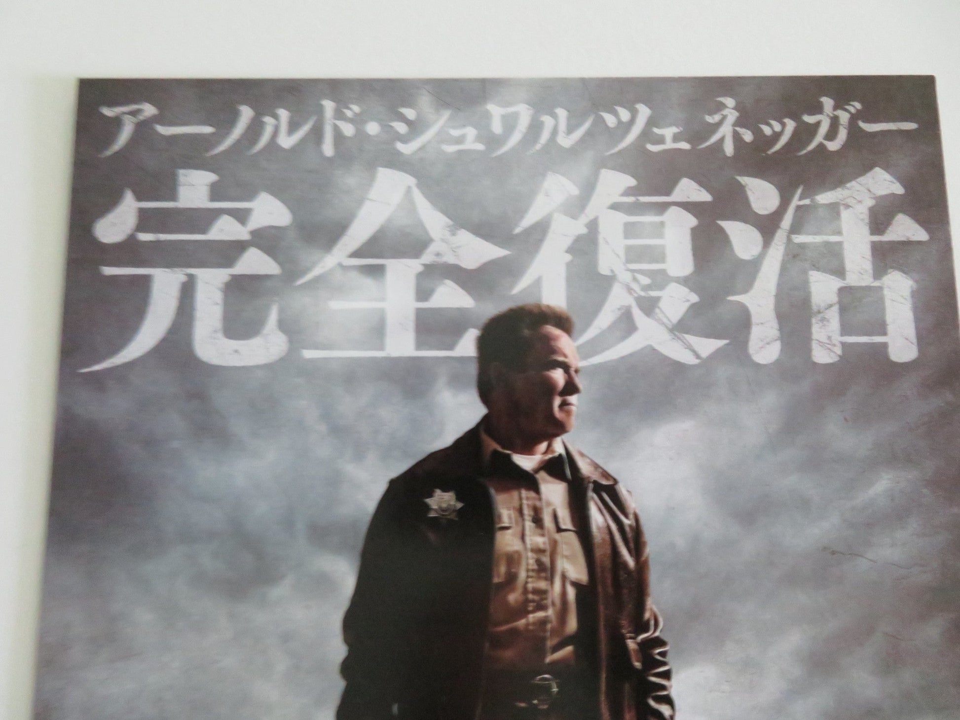 THE LAST STAND - B JAPANESE CHIRASHI (B5) POSTER ARNOLD SCHWARZENEGGER 2013 Movie posters