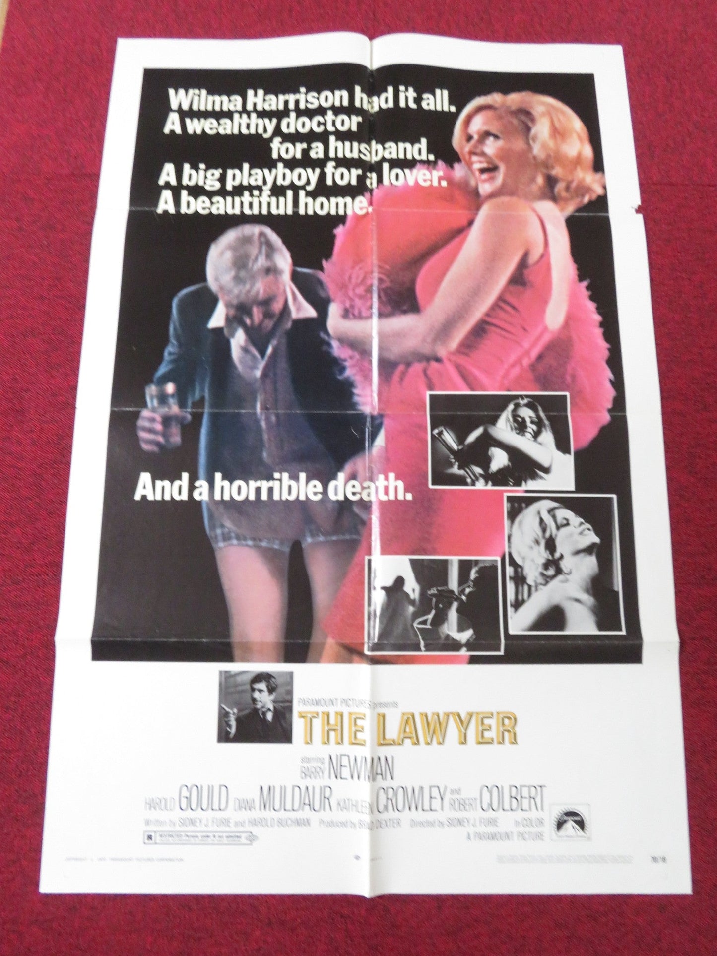 THE LAWYER FOLDED US ONE SHEET POSTER BARRY NEWMAN HAROLD GOULD 1970 Rendezvous Cinema Movie posters