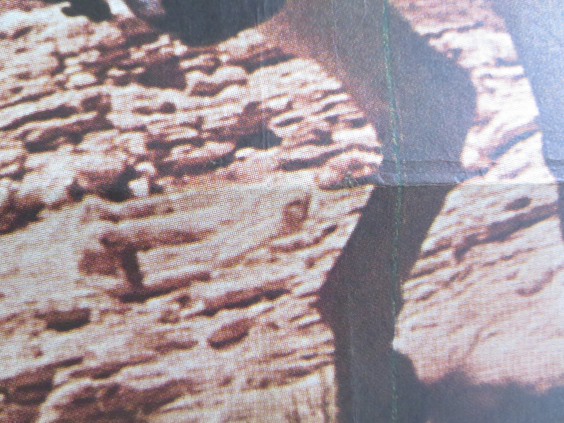 THE LEGEND OF THE LONE RANGER TURKISH POSTER ROLLED KLINTON SPILSBURY 1981 Rendezvous Cinema Movie posters