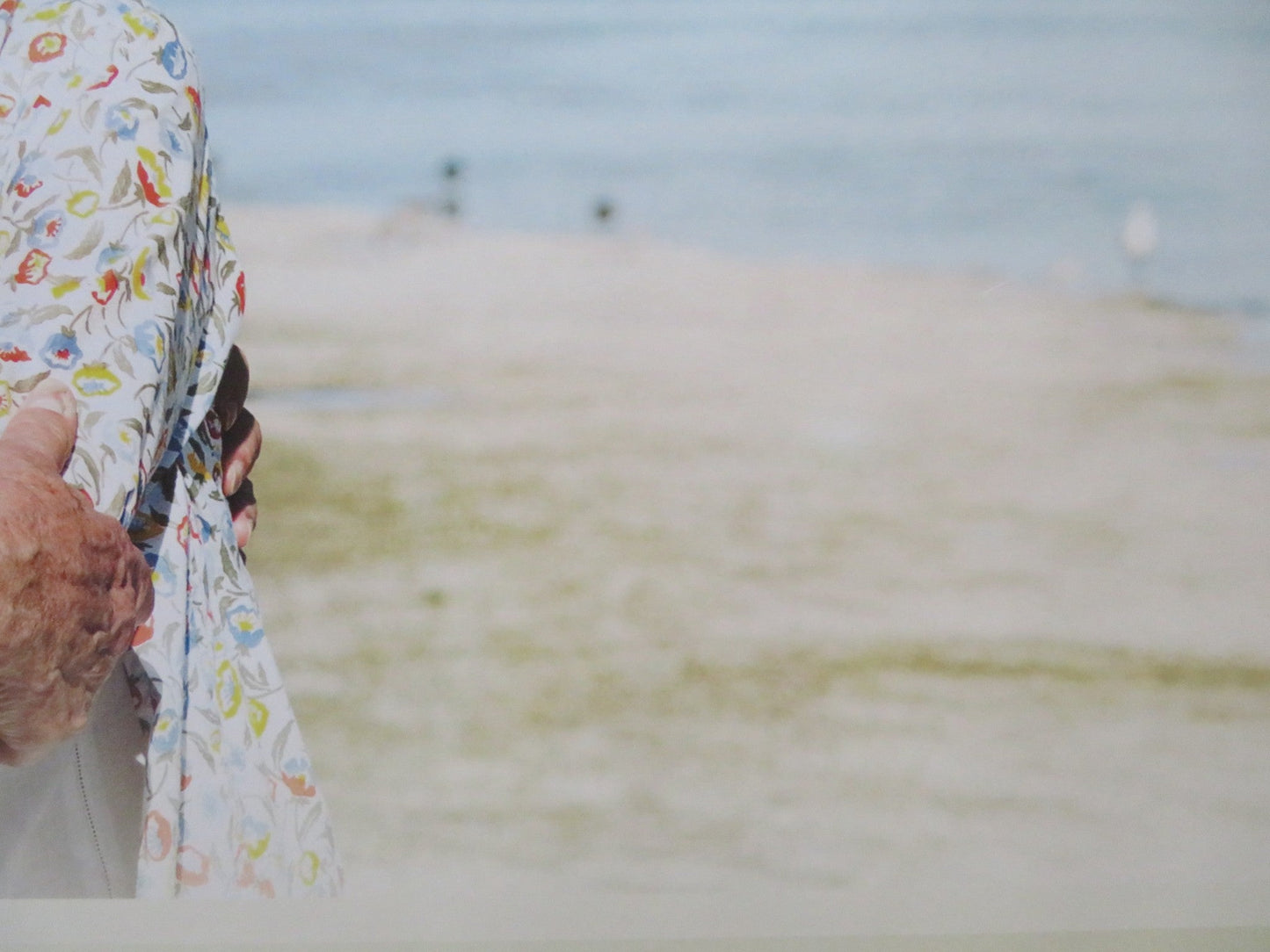 THE LEISURE SEEKER - B UK QUAD ROLLED POSTER DONALD SUTHERLAND HELEN MIRREN 2017 Rendezvous Cinema Movie posters