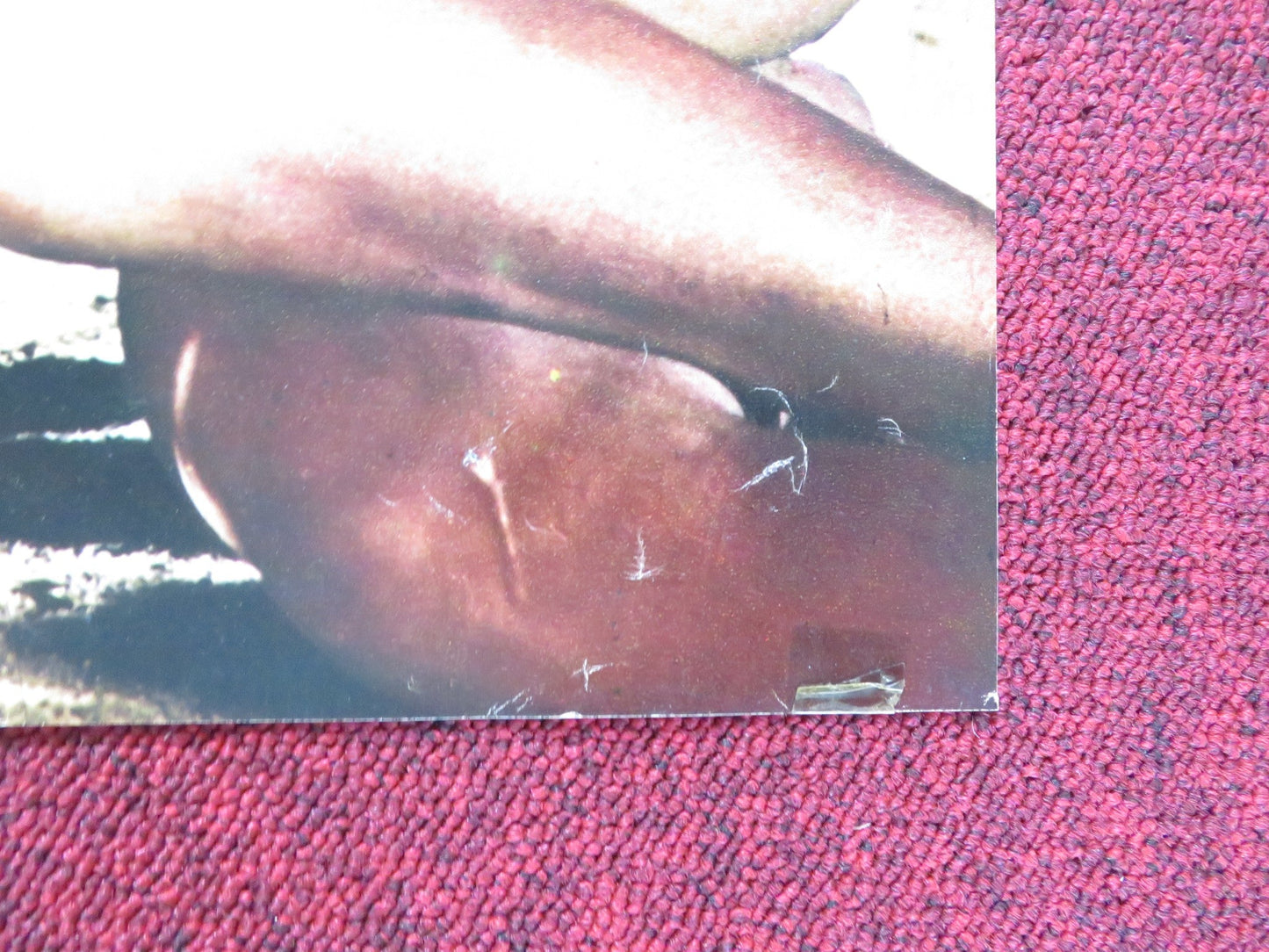 THE LIMIT OF LOVE - E ITALIAN FOTOBUSTA POSTER JUAN LUIS GALIARDO C. LOPEZ 1979 Rendezvous Cinema Movie posters