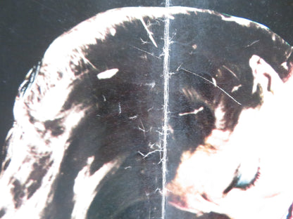 THE LIMIT OF LOVE - E ITALIAN FOTOBUSTA POSTER JUAN LUIS GALIARDO C. LOPEZ 1979 Rendezvous Cinema Movie posters