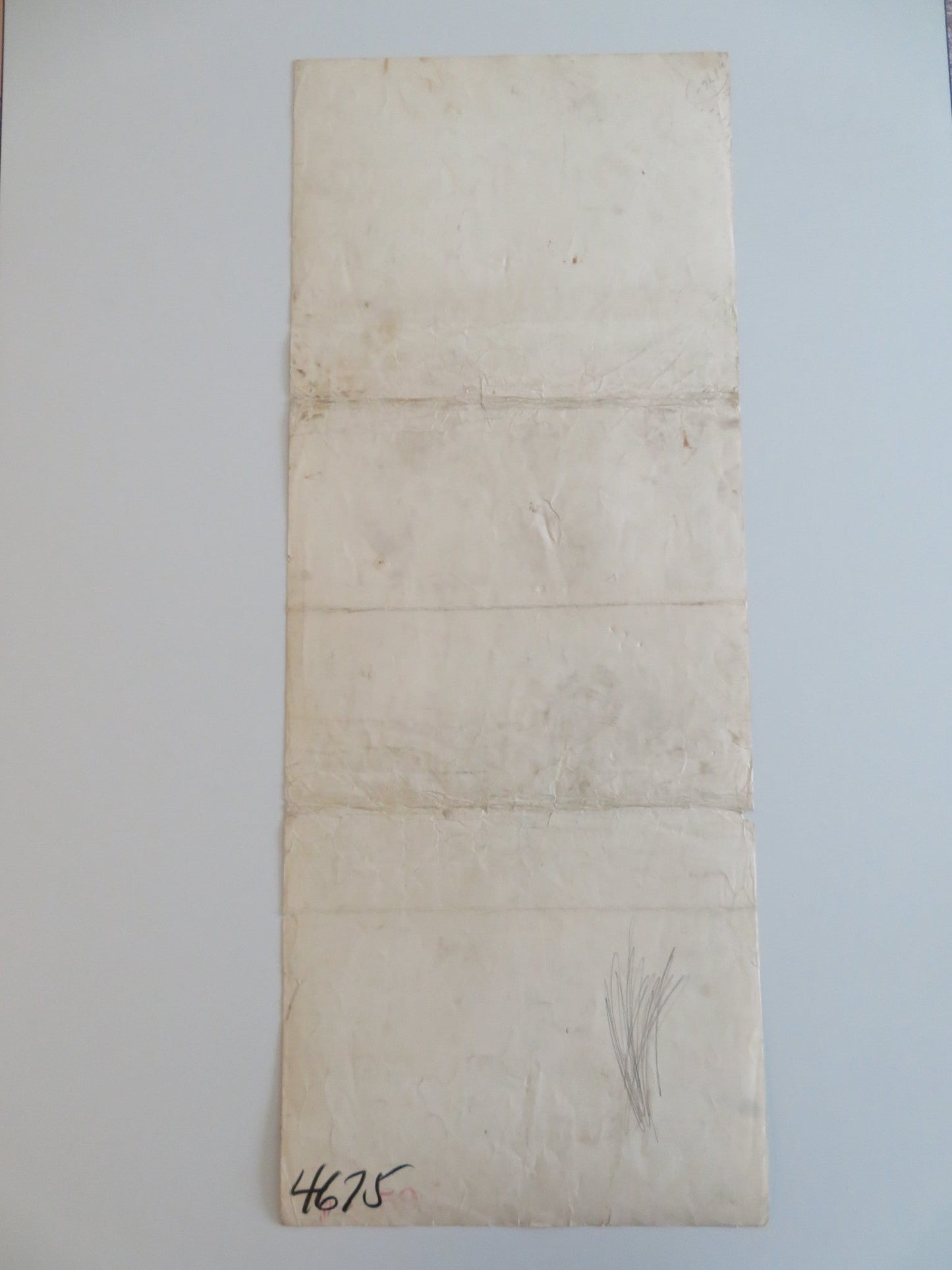 THE LION AND THE HORSE US INSERT POSTER STEVE COCHRAN WILDFIRE THE HORSE 1952 Rendezvous Cinema Movie posters