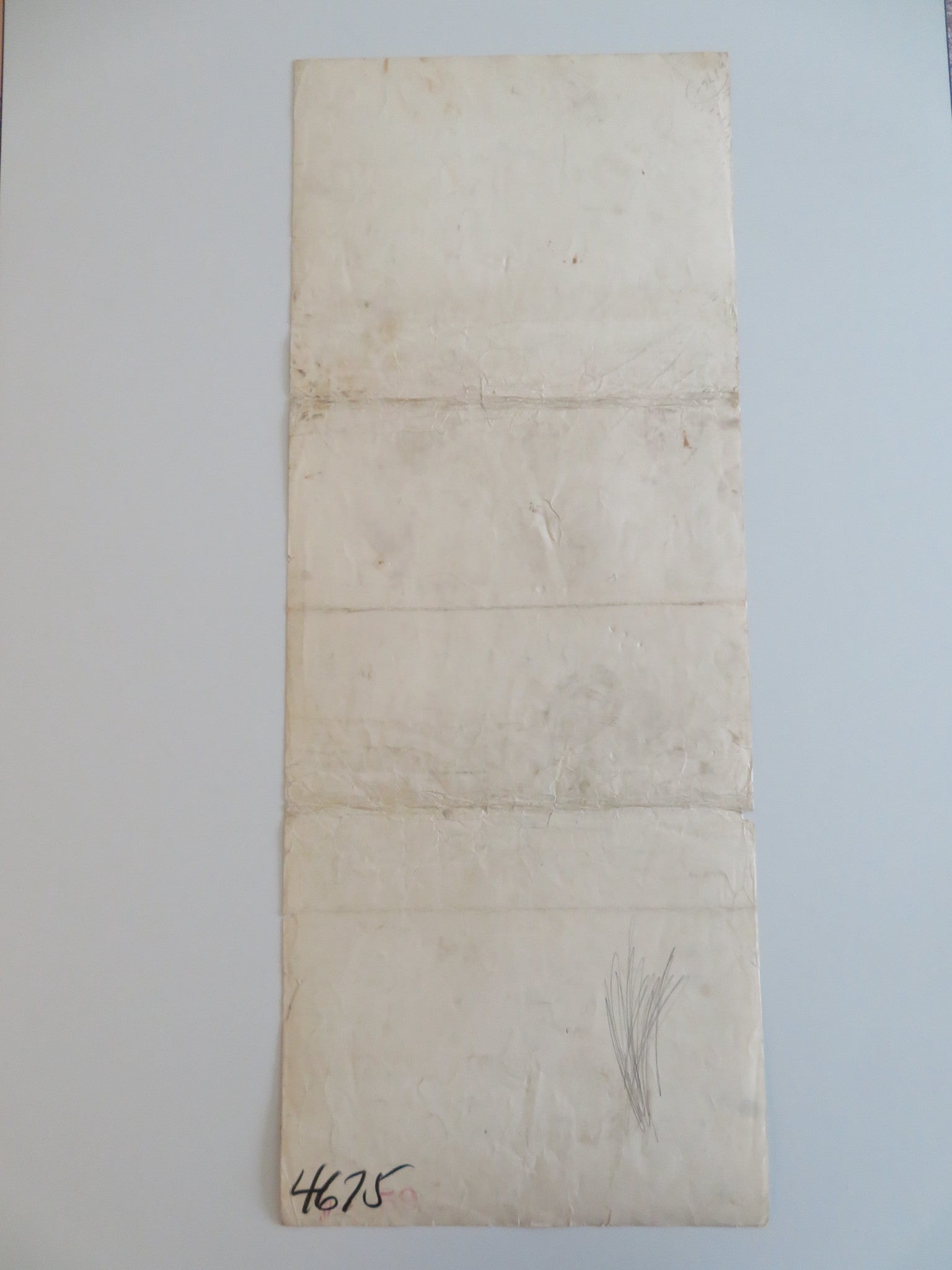 THE LION AND THE HORSE US INSERT POSTER STEVE COCHRAN WILDFIRE THE HORSE 1952 Rendezvous Cinema Movie posters