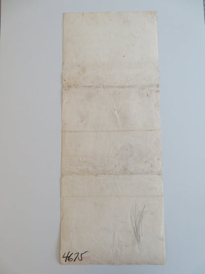 THE LION AND THE HORSE US INSERT POSTER STEVE COCHRAN WILDFIRE THE HORSE 1952 Rendezvous Cinema Movie posters