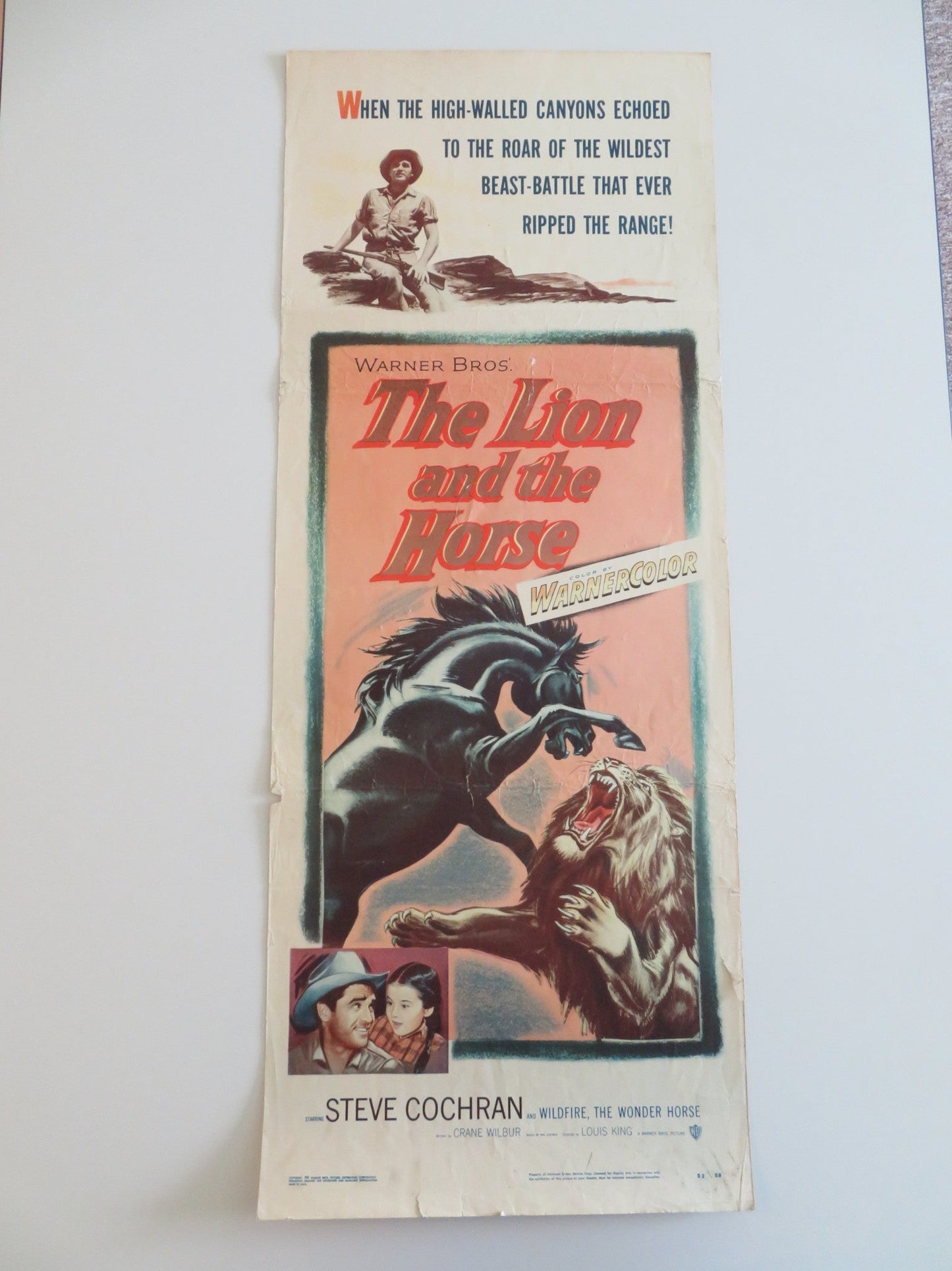 THE LION AND THE HORSE US INSERT POSTER STEVE COCHRAN WILDFIRE THE HORSE 1952 Rendezvous Cinema Movie posters