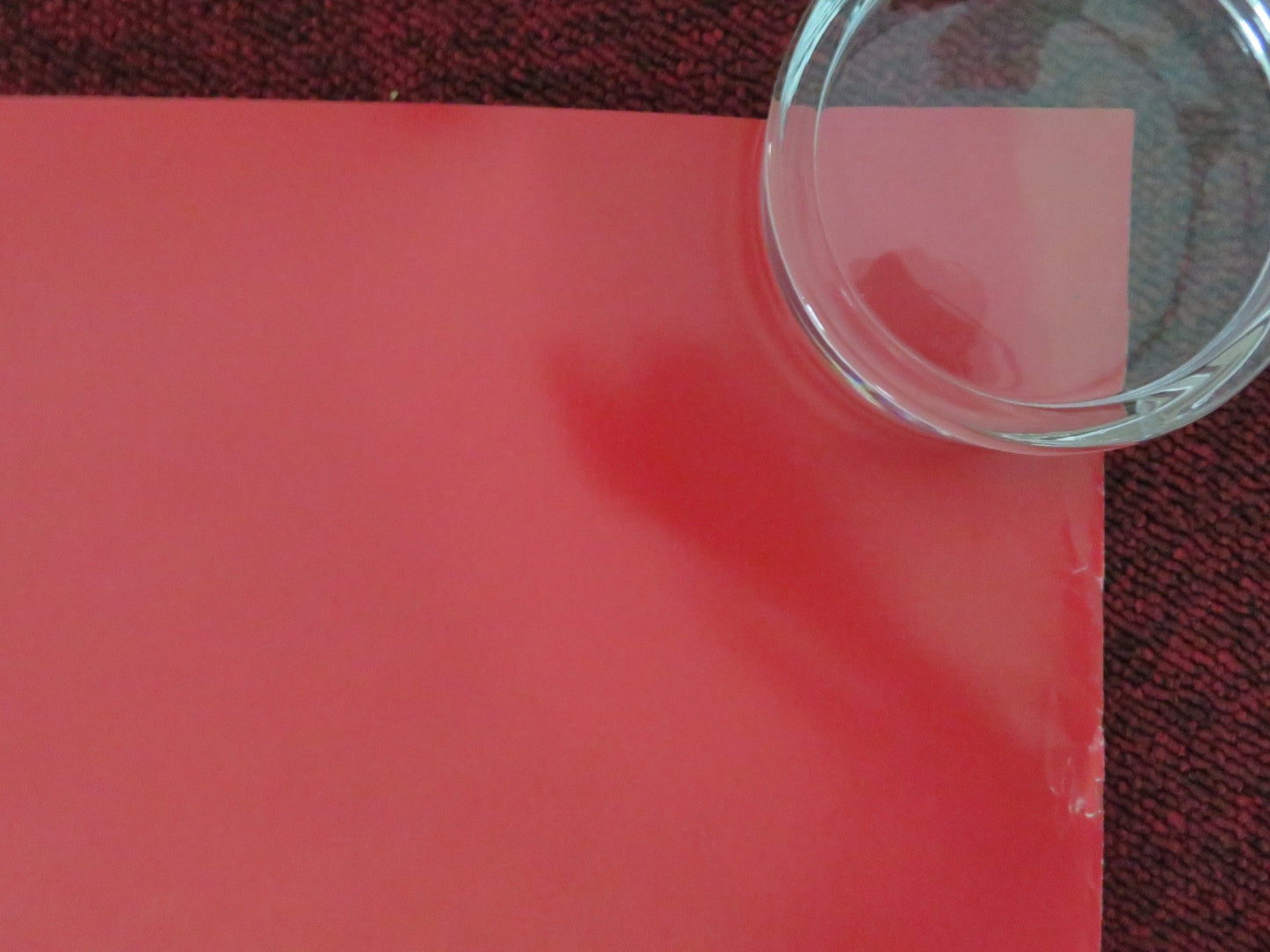 THE LION KING DUTCH POSTER ROLLED DISNEY JAMES EARL JONES JEREMY IRONS 1994 Movie posters