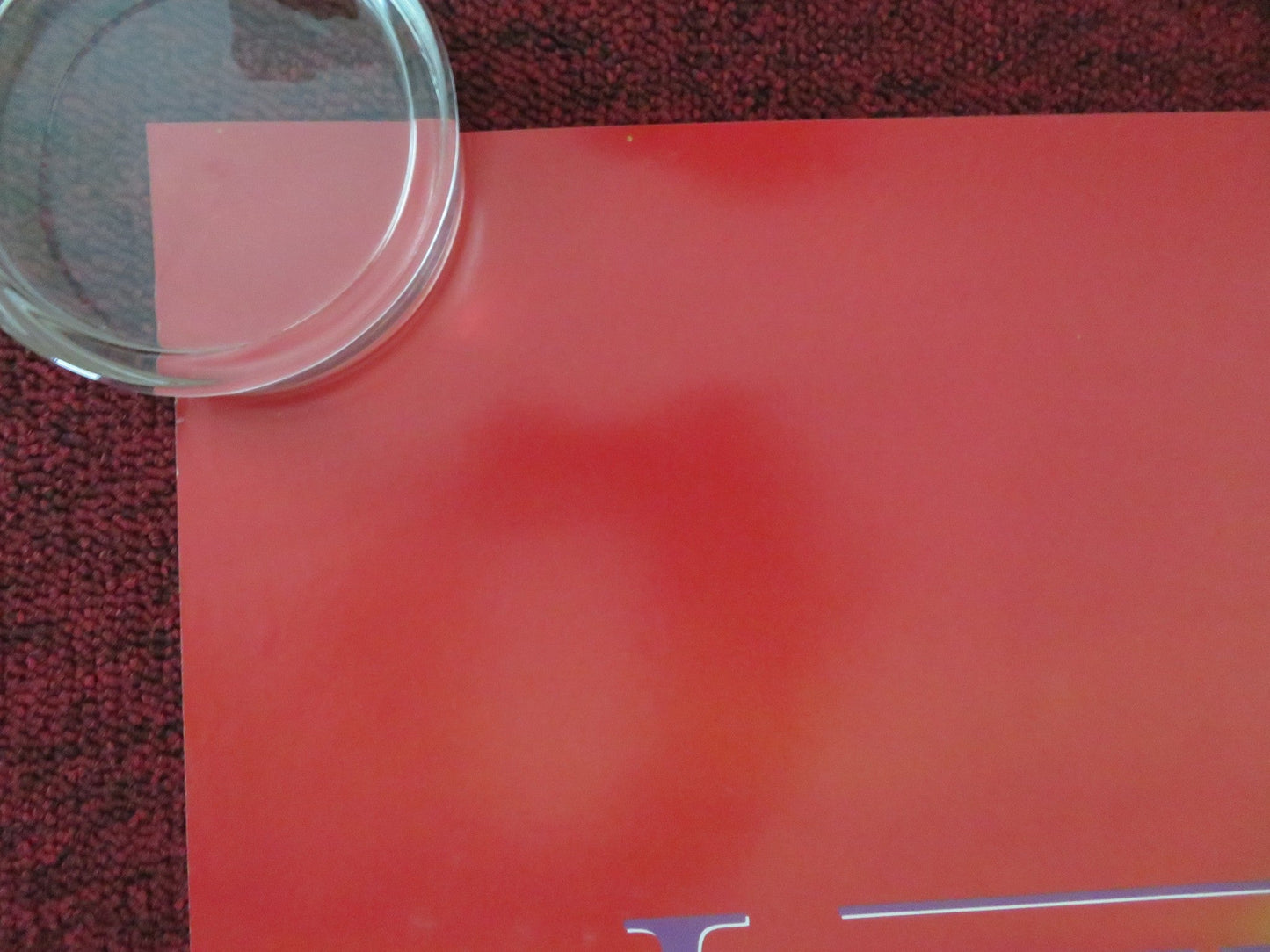 THE LION KING DUTCH POSTER ROLLED DISNEY JAMES EARL JONES JEREMY IRONS 1994 Movie posters