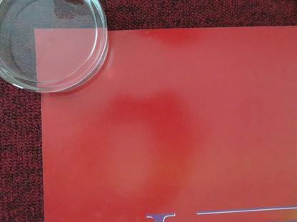 THE LION KING DUTCH POSTER ROLLED DISNEY JAMES EARL JONES JEREMY IRONS 1994 Movie posters