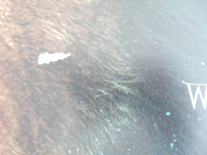 THE LION, THE WITCH AND THE WARDROBE UK QUAD ROLLED POSTER DISNEY SWINTON 2005 Movie posters